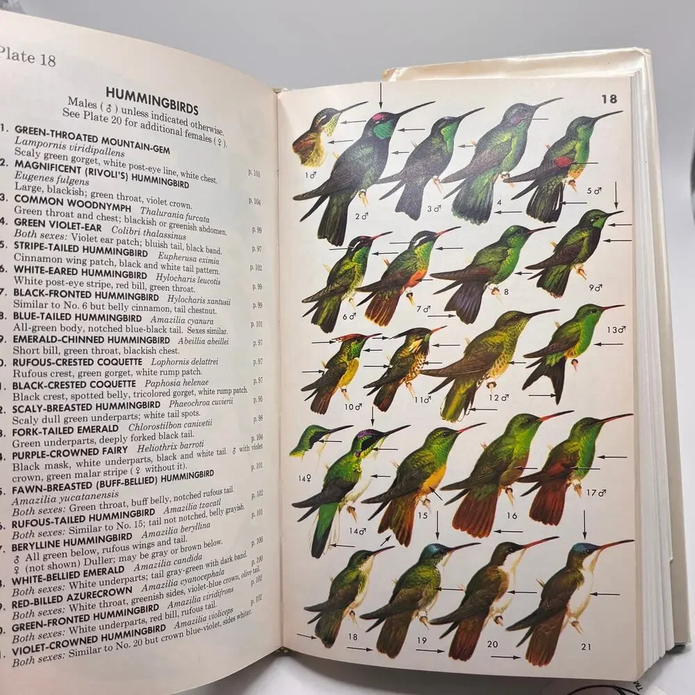 Vintage 1973 book Field Guide to Mexican Birds Central America Photos Ephemera